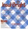 45 Inch Wide Insul-Bright Wide Heat Resistant Batting By the Yard